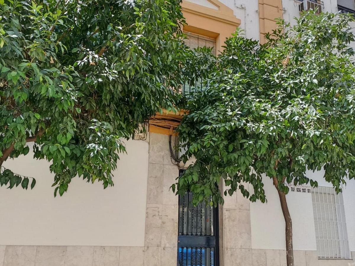Modernos Apartamentos En Ciudad Jardin Córdoba Exteriör bild